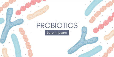 Probiotics. Bifidobacterium, lactobacillus, streptococcus thermophilus, lactococcus, propionibacterium. Medicine or dietary supplement for gastrointestinal health. Banner, header, landing page. Vector
