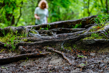 Dover Stone Church, New York, USA A hiker on a path in the woods.