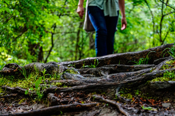 Dover Stone Church, New York, USA A hiker on a path in the woods.