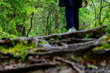 Dover Stone Church, New York, USA A hiker on a path in the woods.