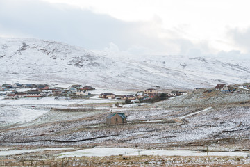 Shetland 