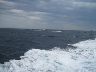 waves breaking on the rocks