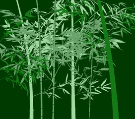 bamboo plants on green background