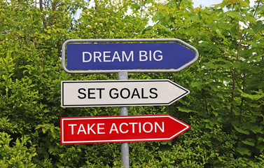 Dream big, set goals, take action