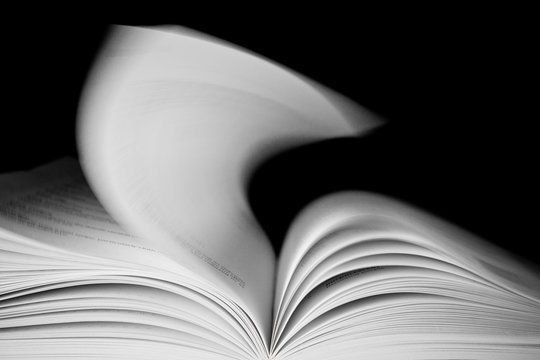 Book Page Turner