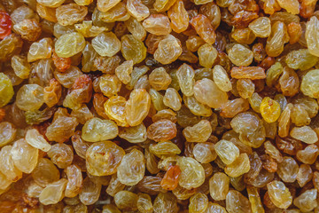 Background from light yellow raisins. Close-up.