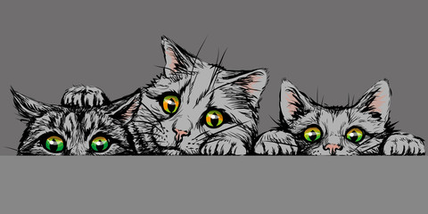  Wall sticker. Graphic, hand-drawn sketch in gray colors depicting three cute cats with bright eyes looking at a horizontal surface
