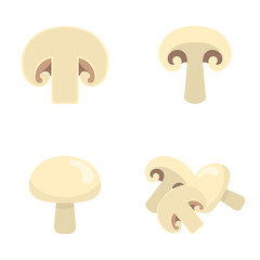 Set of fresh champignons isolated on white background. Mushroom icons for market, recipe design. Organic food. Cartoon style. Vector illustration for design.