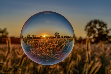 Cornfield in a crystal ball at sunset