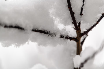 Winterbilder