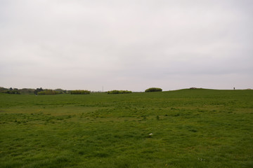 Fototapeta premium landscape with green field and clouds
