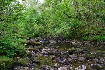 MARBLE ARCH NATIONAL NATURE RESERVE ,CLADAGH GLEN,IRELAND