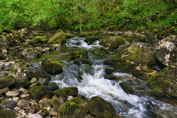 MARBLE ARCH NATIONAL NATURE RESERVE ,CLADAGH GLEN,IRELAND