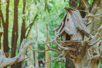 Hand made wooden bird house nest  in public Park , hand wood shelter for birds .