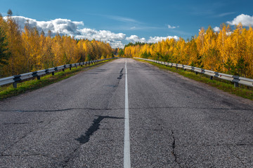 The highway through the autumn wood in sunny day, Mari El, Russia, 88K-002