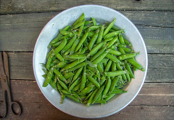 juicy ripe tasty and healthy green peas