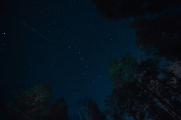 Flying meteorite in Asterism Big Eovsh in the constellation Ursa Major on dark sky at the forest silhouette