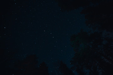 Fototapeta na wymiar Asterism Big Eovsh in the constellation Ursa Major on dark sky at the forest silhouette