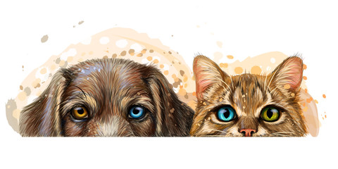 Wall sticker. Graphic, artistic, color drawing of a cat and a dog looking at a table on a white background with splashes of watercolor. - obrazy, fototapety, plakaty