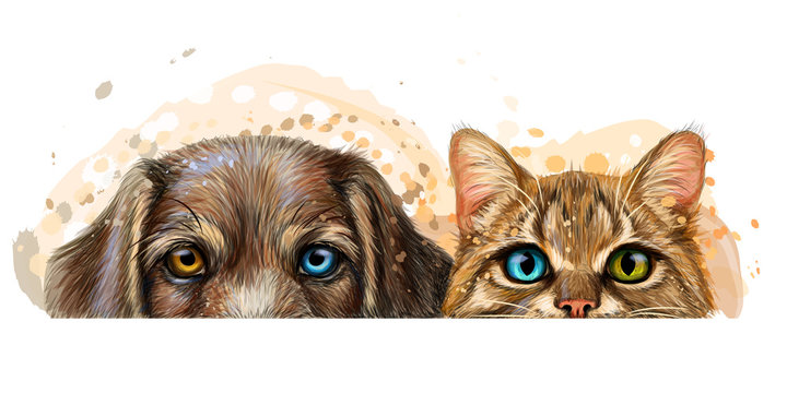 2,796 Best Dog Cat Watercolor Images, Stock Photos & Vectors | Adobe Stock