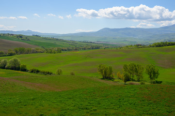Obraz premium Tuscany spring, rolling hills and windmill on sunset. Rural landscape. Green fields. Italy, Europe