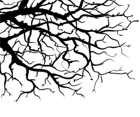 Wall sticker. Black and white graphic drawing of branches. Silhouette of tree branches.
