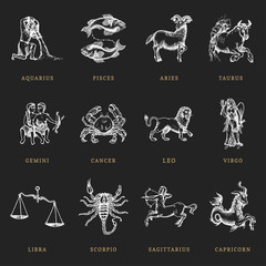 Zodiac symbols set, hand drawn in engraving style. Vector graphic retro illustration of astrological signs.