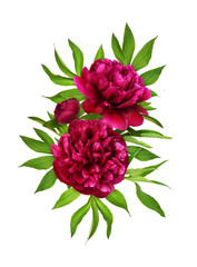 Red peony flowers with green leaves in a floral arrangement