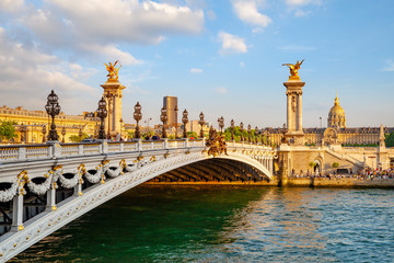 Fototapeta na wymiar The Alexander III Bridge across Seine river in Paris, France at sunset