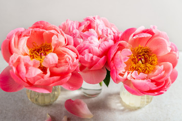 Amazing bouquet of pink peonies on light background. Card Concept, copy space for text
