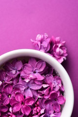 Cup Tea Branches Spring Flowers Bouquet Blooming Lilac