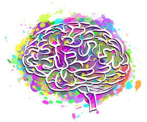 The human brain. Abstract, colorful silhouette of the brain side view on a white background with splashes of colorful paint.