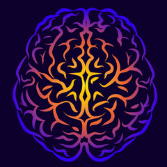 The human brain. Graphic, multi-colored silhouette of the brain view from above on a dark purple background.