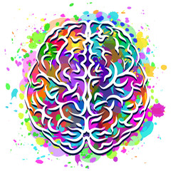 The human brain. Abstract, colorful silhouette of the brain view from above on a white background with splashes of colorful paint.