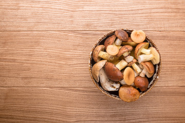 mushrooms on the table. mushrooms closeup