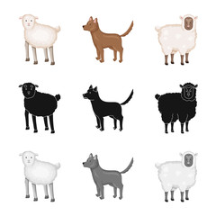 Isolated object of breeding and kitchen  icon. Collection of breeding and organic  stock vector illustration.