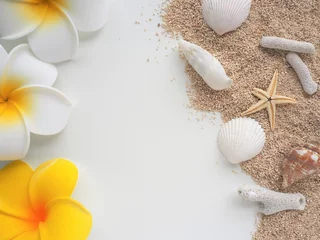 Crédence de cuisine en verre imprimé Salle de bain Image de plage d& 39 été (fleurs de plumeria, plages de sable, coquillages, étoiles de mer, corail)