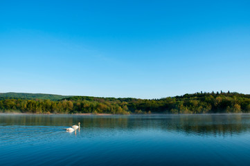 Obraz na płótnie Canvas White swans on a mountain lake spring day under the open sky against the background of high mountains and bright forest