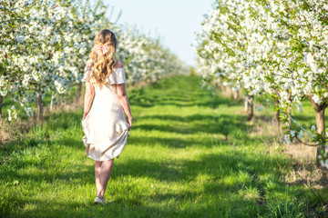 Naklejka na ściany i meble Woman in a blooming orchard at springtime. Enjoying sunny warm day. Retro style dress. Colorful spring moods