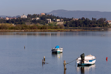 Fishing boats in the morning light