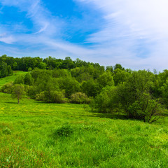 Fototapeta na wymiar European summer landscape - forest in the hills on a sunny day