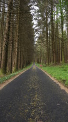 Marble Arch Caves Global Geopark,Ireland,Fermanagh