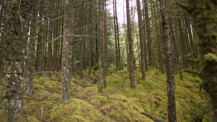 Marble Arch Caves Global Geopark,Ireland,Fermanagh