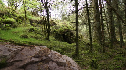 Marble Arch Caves Global Geopark,Ireland,Fermanagh