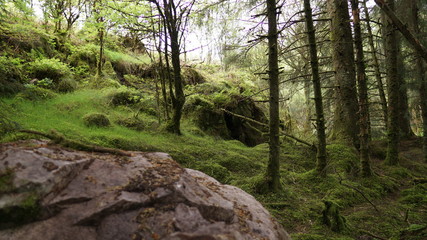 Fototapeta premium Marble Arch Caves Global Geopark,Ireland,Fermanagh
