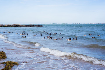 Brighton beach Brooklyn