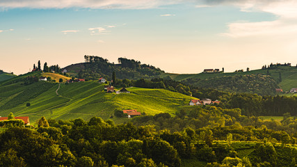 Vineyards in Austria south Styria, wine country,