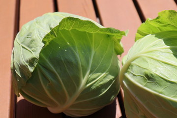 fresh green cabbage