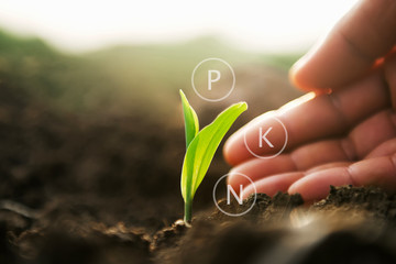 plant growing with hand and digital mineral icon. agriculture concept