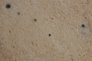 Hintergrund Bisquitboden